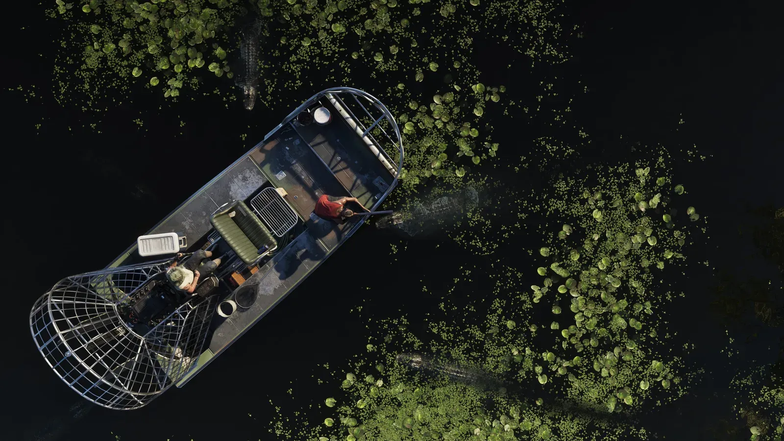 Grassrivers — GTA 6