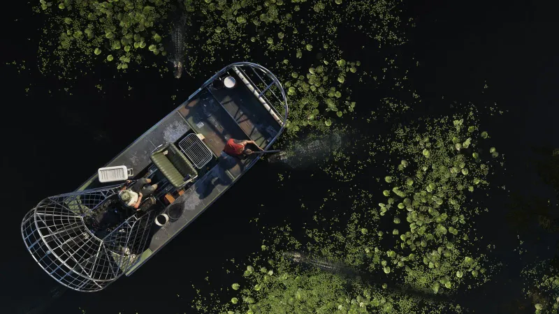 Grassrivers in an official GTA 6 screenshot, second look